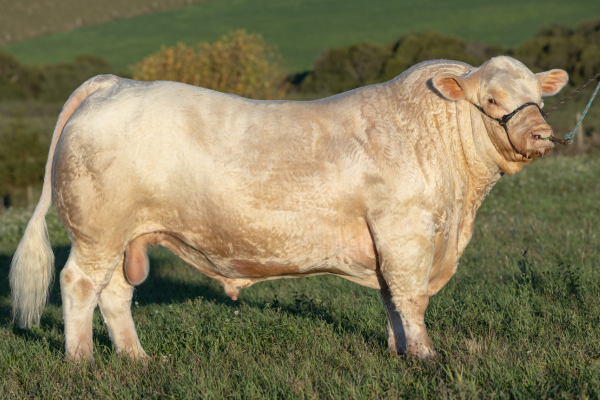 GENEX QUASAR - FOTO 2.png