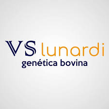 VS LUNARDI