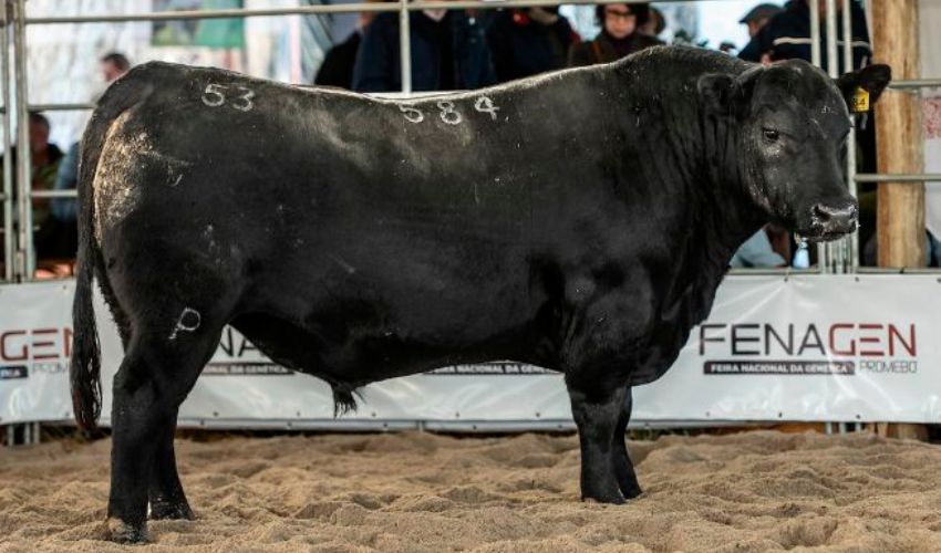 ABS contrata 2 campeões Recalada na Fenagen